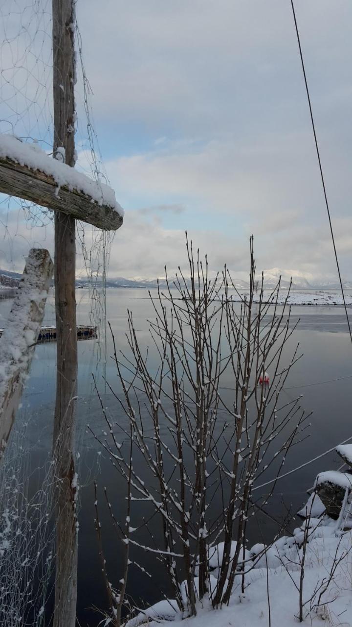 Prima Lofoten Myrland 外观 照片
